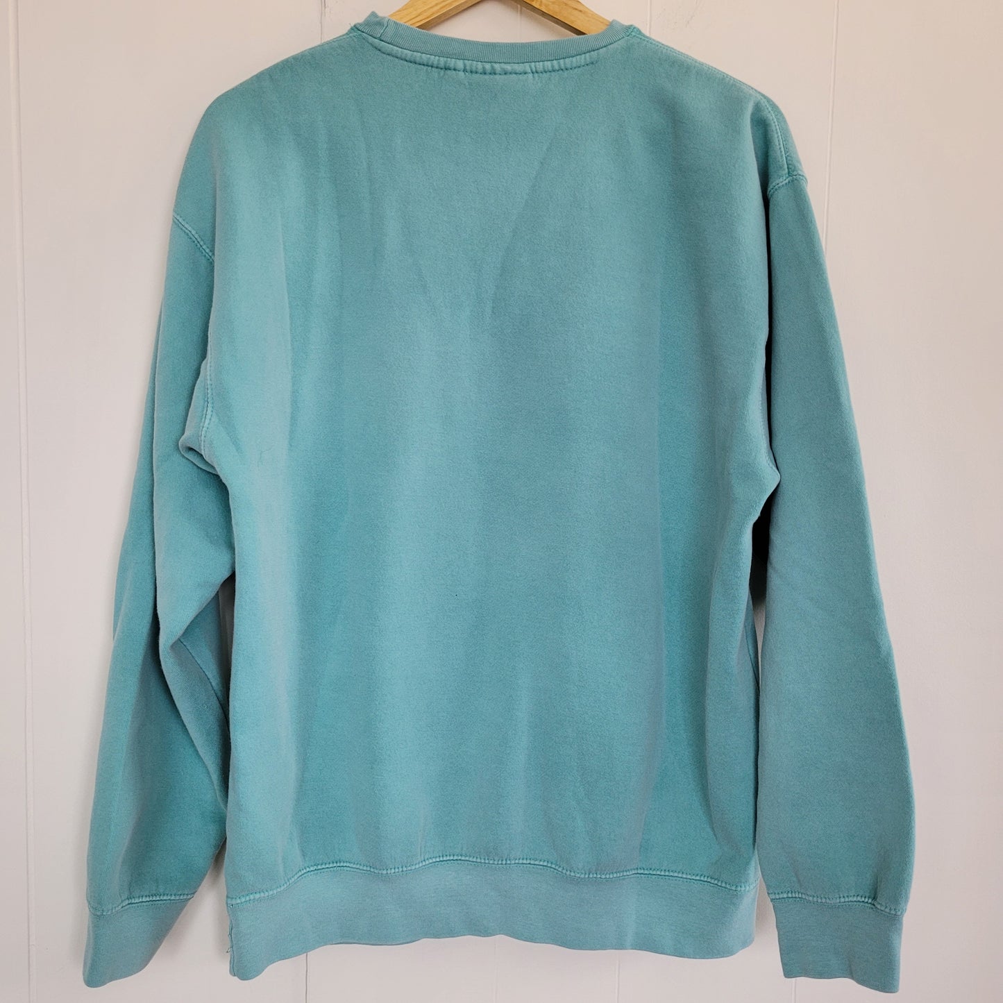 Teal Great Lakes Crewneck Sweatshirt (Size M)