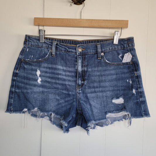 Medium Wash Distressed Denim Shorts - Aerie (Medium)