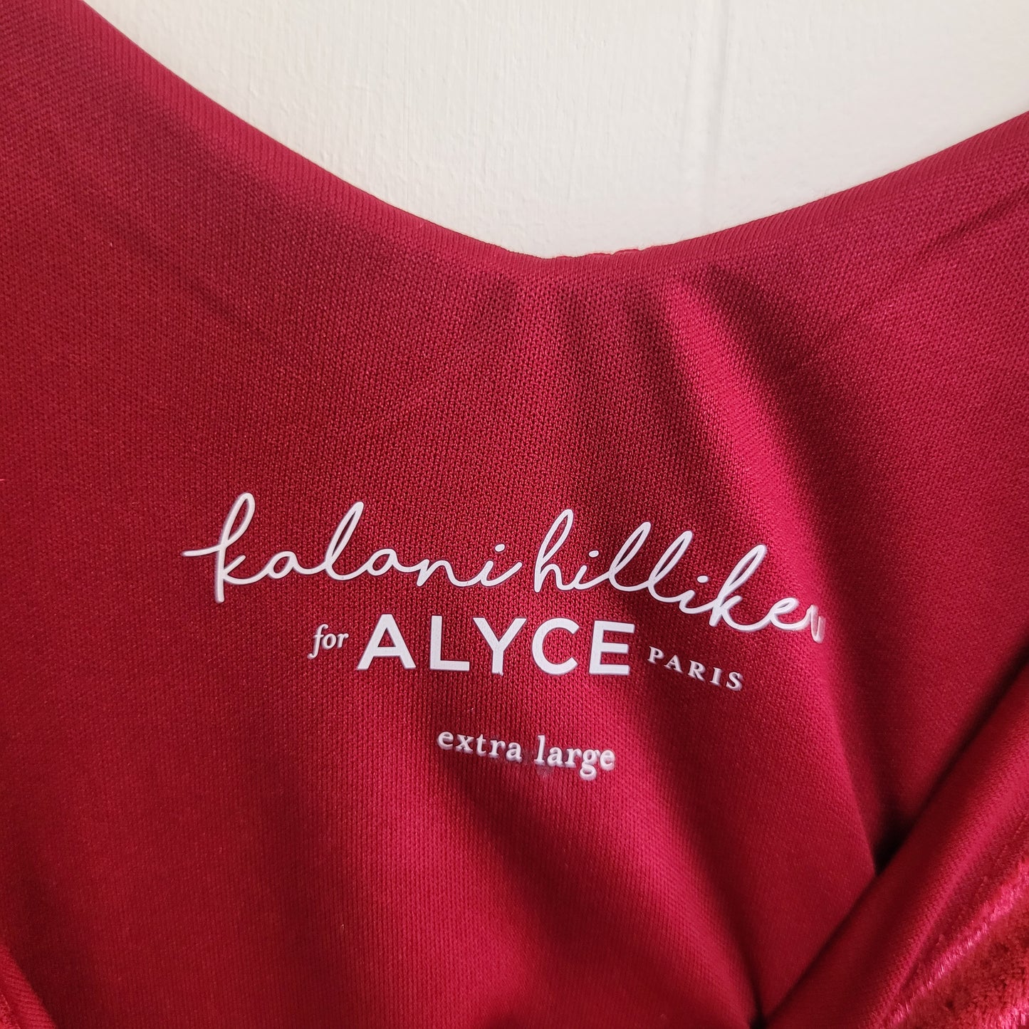 Red Velvet Slip Dress –  Kalani Hilliker for Alyce Paris (Size XL)