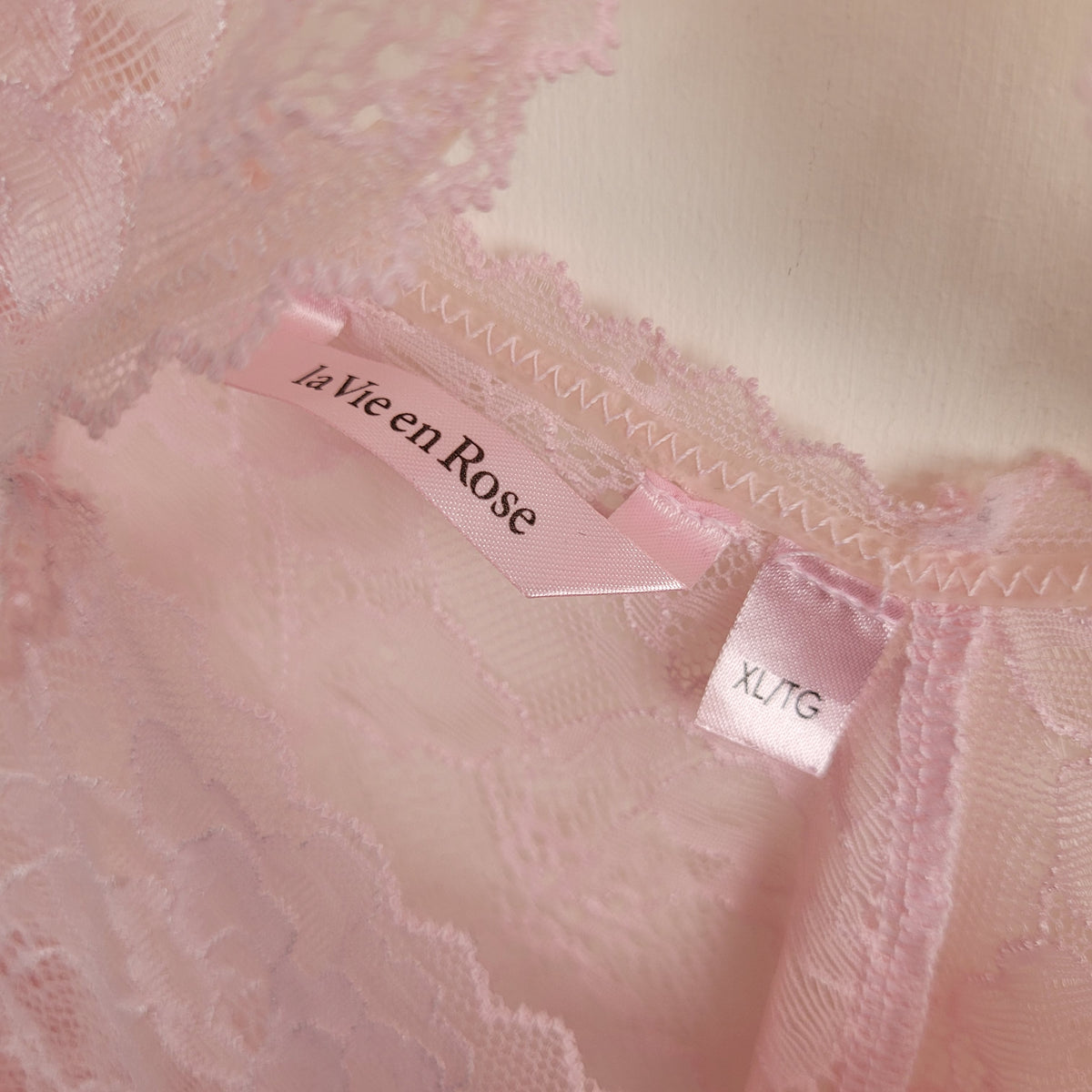 Pink Lace Chemise Lingerie - La Vie en Rose (Size XL)
